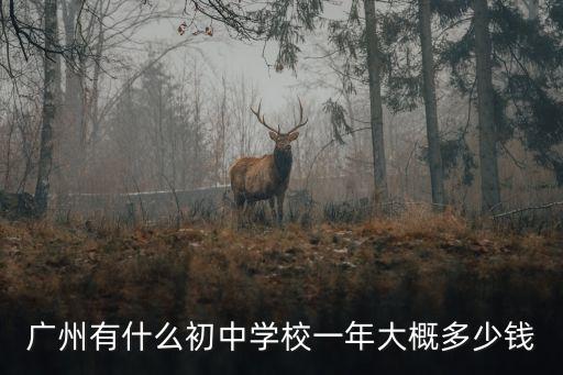 廣州初中學費2021，現在廣州中學的一學期學費是多少