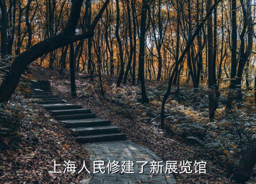 上海市建設協會 顧建國，馬鋼顧建國當年在上海做過什么手術