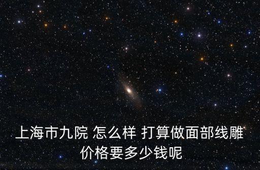上海市九院 怎么樣 打算做面部線雕 價格要多少錢呢