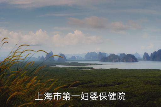 上海市第一婦嬰保健院