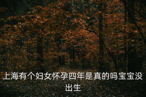 上海有個婦女懷孕四年是真的嗎寶寶沒出生