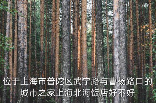 位于上海市普陀區(qū)武寧路與曹楊路口的城市之家上海北海飯店好不好