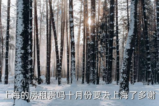 上海的房租貴嗎十月份要去上海了多謝