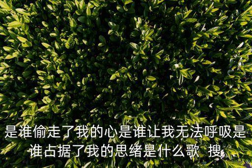 是誰偷走了我的心是誰讓我無法呼吸是誰占據了我的思緒是什么歌  搜