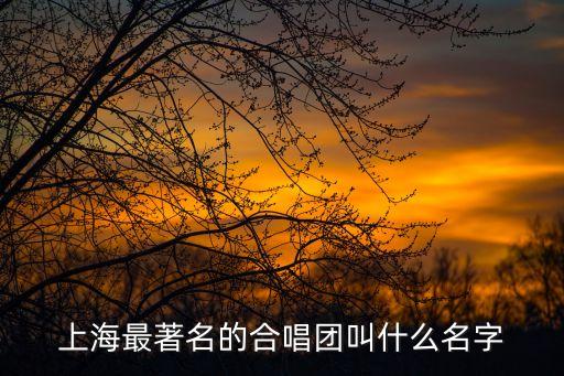 上海市學生藝術合唱團，上海最著名的合唱團叫什么名字