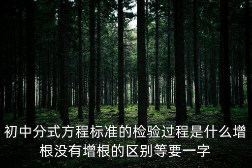 初中分式方程標準的檢驗過程是什么增根沒有增根的區別等要一字