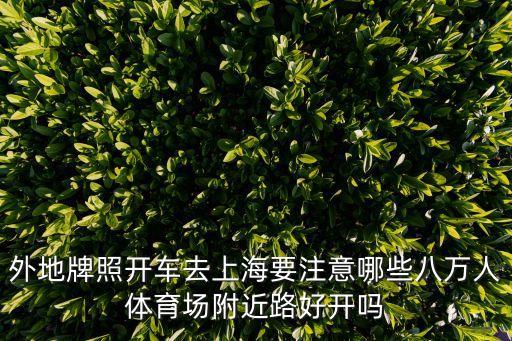 外地牌照開車去上海要注意哪些八萬人體育場附近路好開嗎
