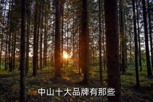 廣州中山八大品牌，中山十大品牌有那些