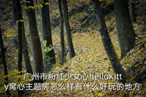 廣州市粉紅少女心helloKitty窩心主題房怎么樣有什么好玩的地方