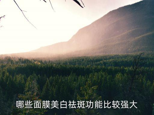 哪些面膜美白祛斑功能比較強大
