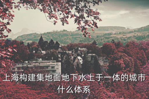 上海構建集地面地下水上于一體的城市什么體系