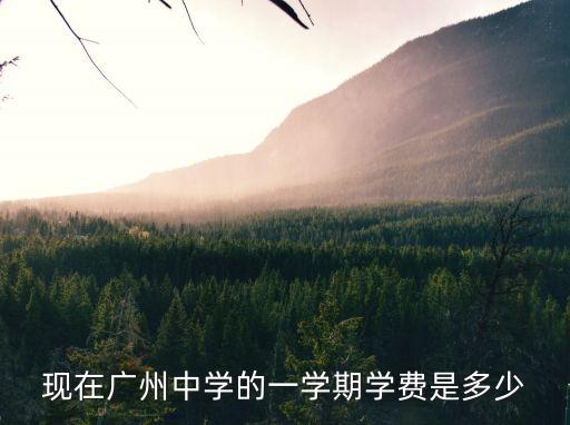 現(xiàn)在廣州中學(xué)的一學(xué)期學(xué)費是多少