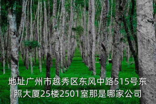 地址廣州市越秀區東風中路515號東照大廈25樓2501室那是哪家公司