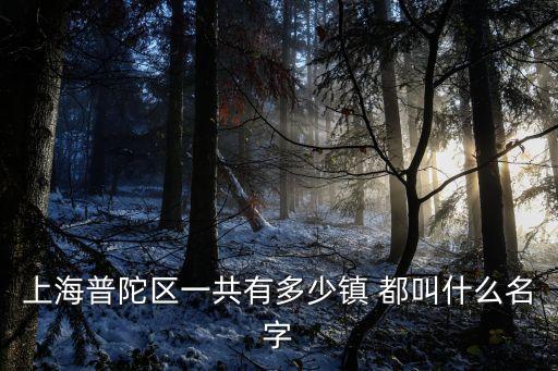 上海普陀區一共有多少鎮 都叫什么名字