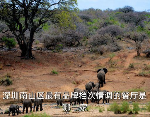 廣州南山南園村美食，深圳南山區最有品牌檔次情調的餐廳是哪一家