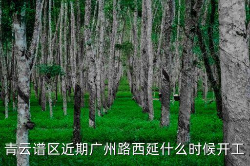 青云譜區(qū)近期廣州路西延什么時候開工