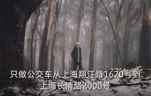 只做公交車從上海翔江路1670號(hào)到上海長(zhǎng)清路2000號(hào)