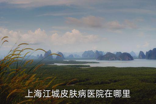 上海江城皮膚病醫院在哪里