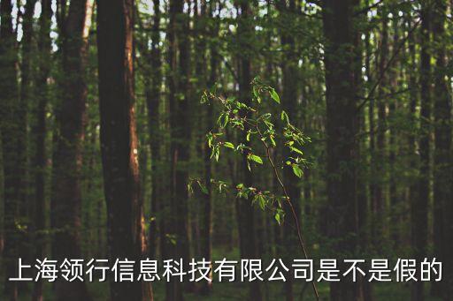 上海領行信息科技有限公司是不是假的