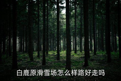 白鹿原滑雪場，白鹿原滑雪場怎么樣路好走嗎