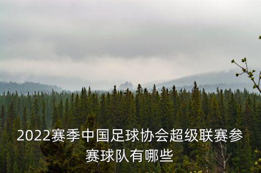 2022賽季中國足球協會超級聯賽參賽球隊有哪些