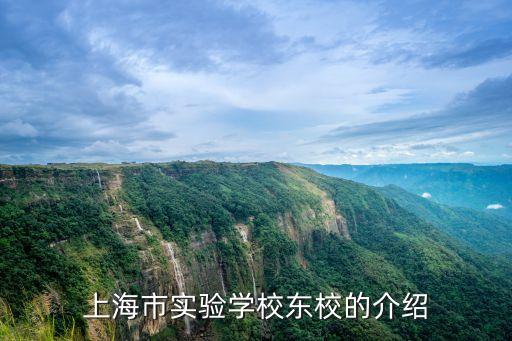 參觀上海市實驗學校東校，上海市實驗學校的介紹