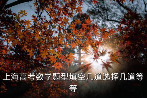 上海高考數學題型填空幾道選擇幾道等等