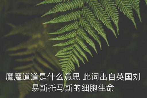 魔魔道道是什么意思 此詞出自英國劉易斯托馬斯的細胞生命