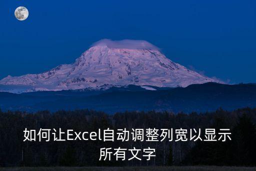 自動調(diào)整列寬，如何讓Excel自動調(diào)整列寬以顯示所有文字