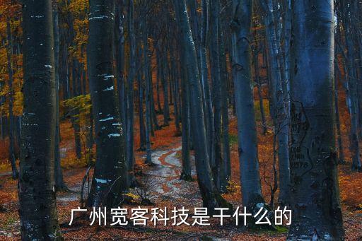 廣州寬客科技是干什么的
