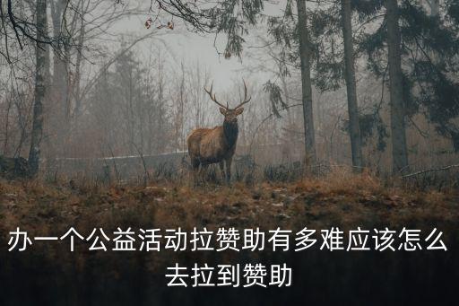 公益贊助，辦一個公益活動拉贊助有多難應該怎么去拉到贊助