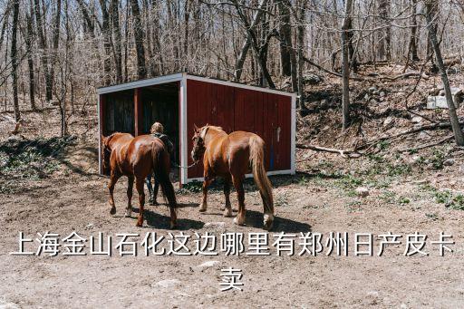 上海金山石化這邊哪里有鄭州日產皮卡賣