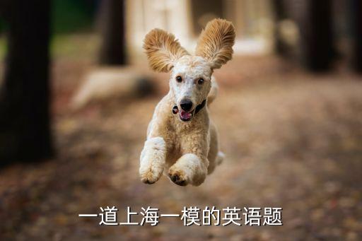 上海市崇明區(qū)初三一模英語2019，上海一模初中英語難度怎么樣