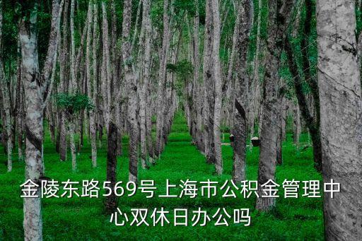 金陵東路569號上海市公積金管理中心雙休日辦公嗎