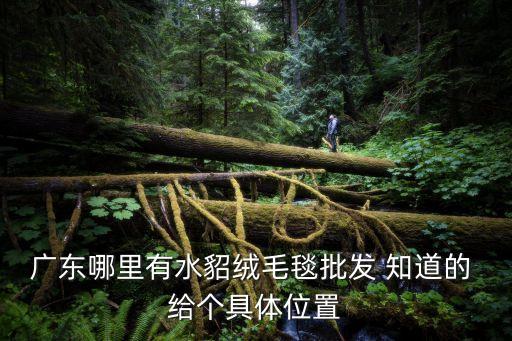 廣東哪里有水貂絨毛毯批發(fā) 知道的 給個具體位置