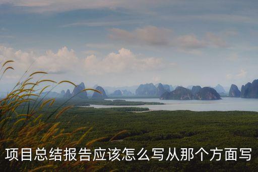 項目總結(jié)報告應該怎么寫從那個方面寫