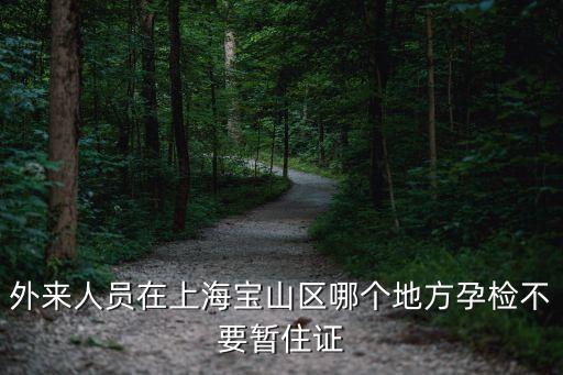 外來人員在上海寶山區哪個地方孕檢不要暫住證