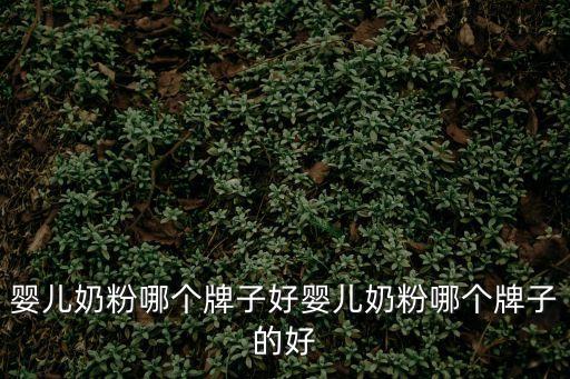嬰兒奶粉哪個牌子好嬰兒奶粉哪個牌子的好