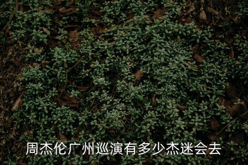 周杰倫廣州巡演有多少杰迷會去