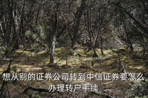 廣州證券賬號轉(zhuǎn)中信證券，想從別的證券公司轉(zhuǎn)到中信證券要怎么辦理轉(zhuǎn)戶手續(xù)