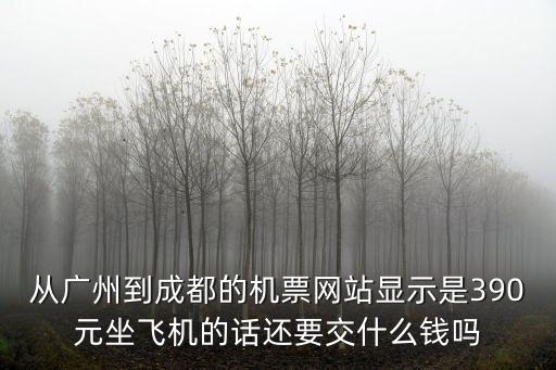 從廣州到成都的機票網(wǎng)站顯示是390元坐飛機的話還要交什么錢嗎
