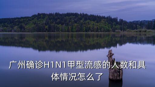 廣州確診H1N1甲型流感的人數和具體情況怎么了