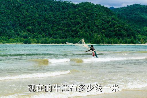 現(xiàn)在的牛津布多少錢一米
