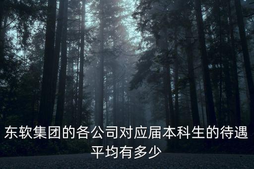 東軟集團的各公司對應屆本科生的待遇平均有多少