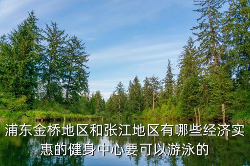 浦東金橋地區和張江地區有哪些經濟實惠的健身中心要可以游泳的
