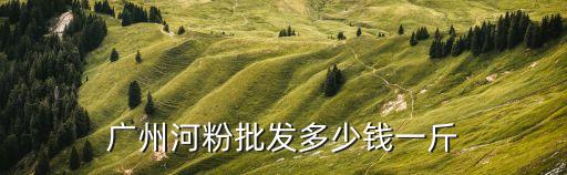 廣州炒河粉10元一斤，10塊錢一份炒河粉利潤是多少