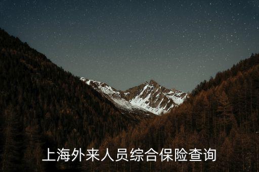 上海市外勞綜合保險查詢，上海外來人員綜合保險查詢網址