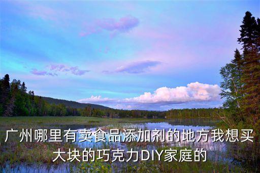 廣州哪里有賣食品添加劑的地方我想買大塊的巧克力DIY家庭的