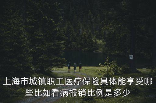 上海市城鎮職工醫療保險具體能享受哪些比如看病報銷比例是多少