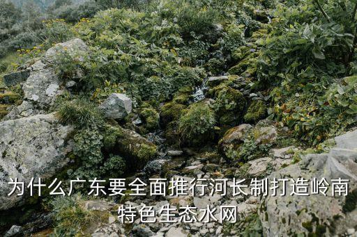 為什么廣東要全面推行河長制打造嶺南特色生態(tài)水網(wǎng)
